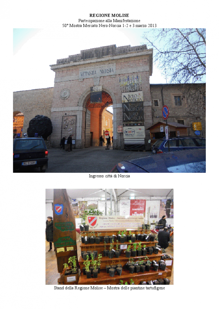norcia-tartufo-molise