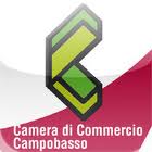 camera-di-commercio-cb