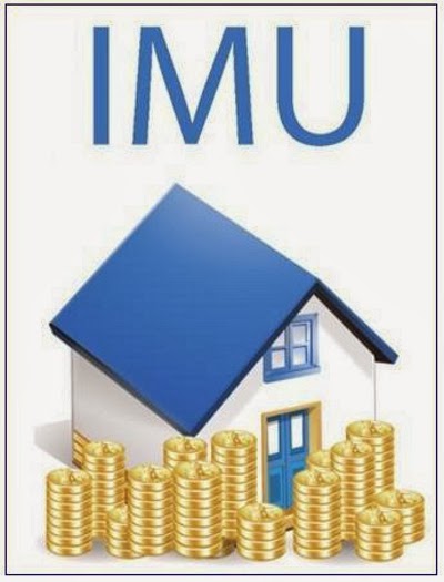 imu