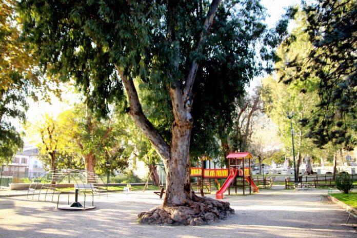 Foto-Villa-venafro