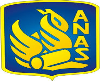anas logo big