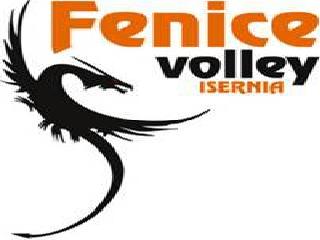 fenice volley big
