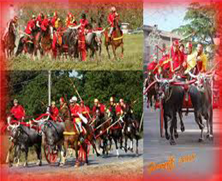 san martino carri e buoi big
