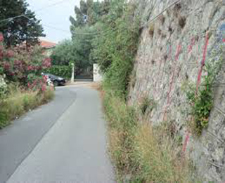 strade erbacce big