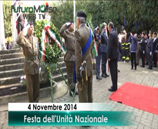 4 novembre big