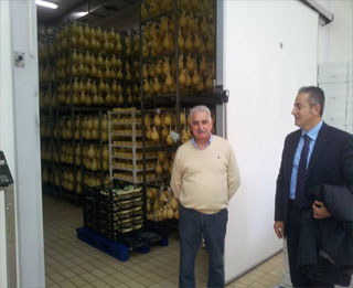 Scarabeo con di Pasquo big