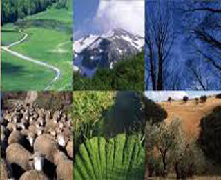 molise ambiente big