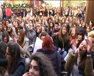 sit in studenti isernia big