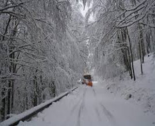 neve big