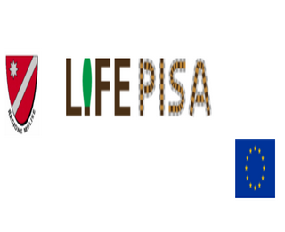 life pisa