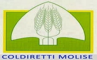coldiretti molise 320x201