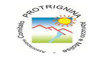 comitato protrignina 320x201