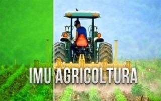 imu agricola 320x201