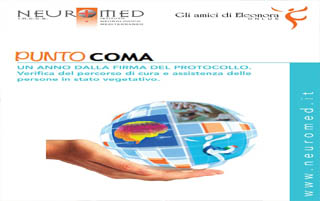 punto coma neuromed big 1