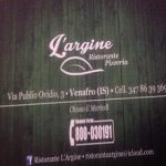 banner l'argine