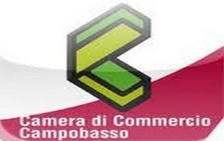 camera di commercio cb320x201