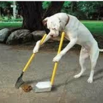 cane