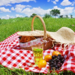pic nic