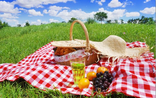 pic nic