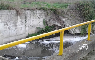 torrente scarafone big 1