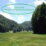 banner roccamandolfi320x201