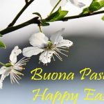 buona pasqua