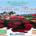 cerro in fiore