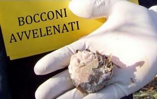 bocconi avvelenati 320x201