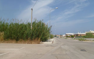 campomarino lido big1