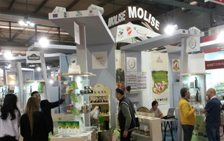 expo big1