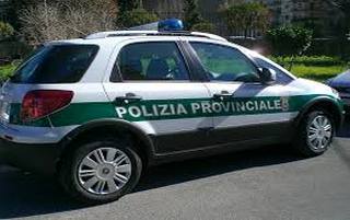 polizia provinciale320x201