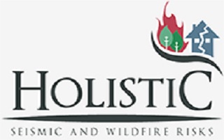 holistic