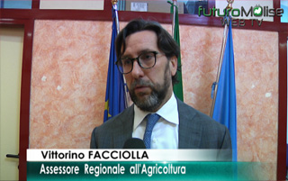 Vittorino-Facciolla-big-1