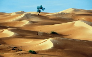 deserto