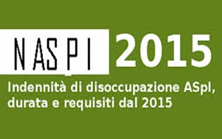 naspi big1