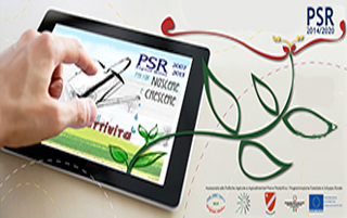 psr molise big1