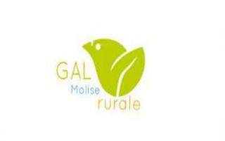 gal big1