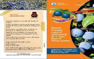 prog-bagnoli