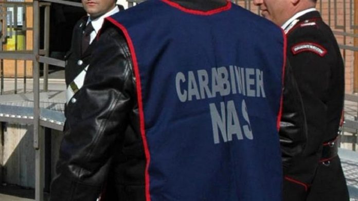 nas22-2