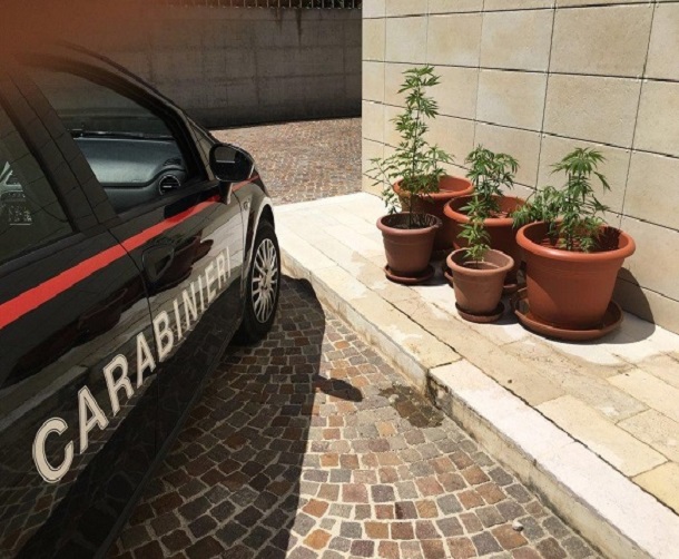 marijuana - carabinieri