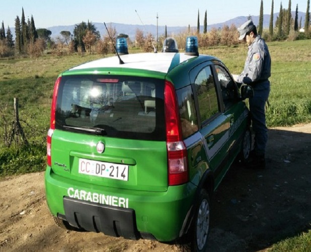 Carabinieri forestali