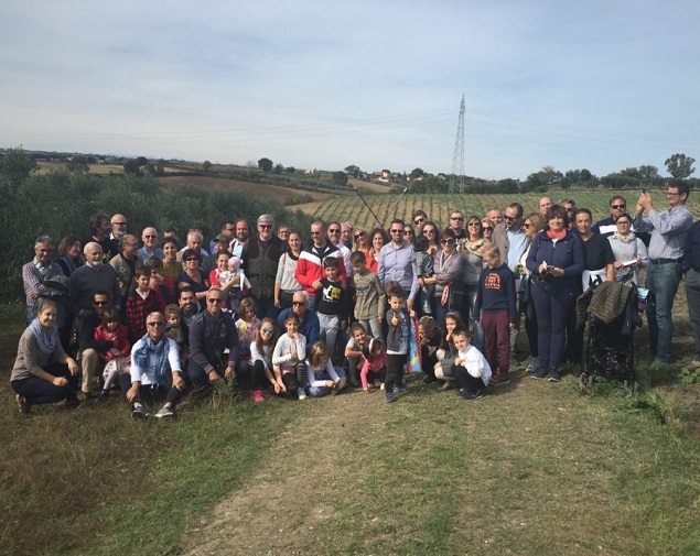 camminata tra olivi termoli
