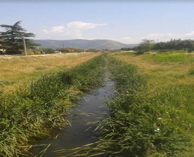 fiume rava