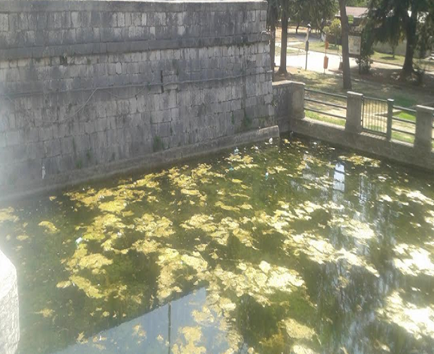 laghetto