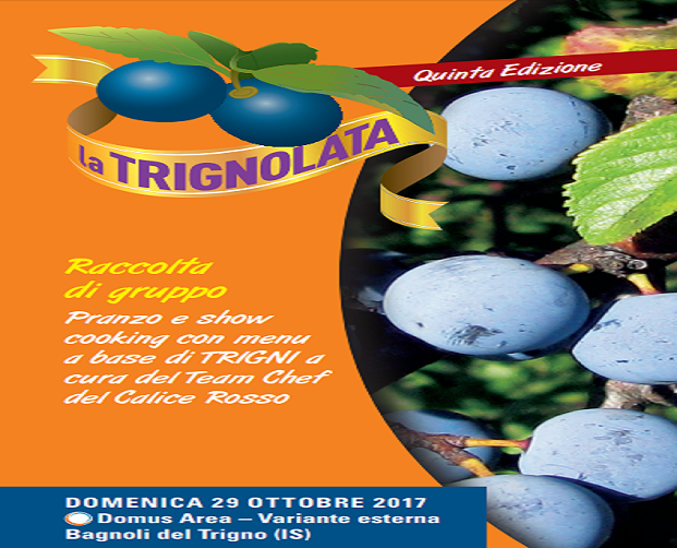 trignolata