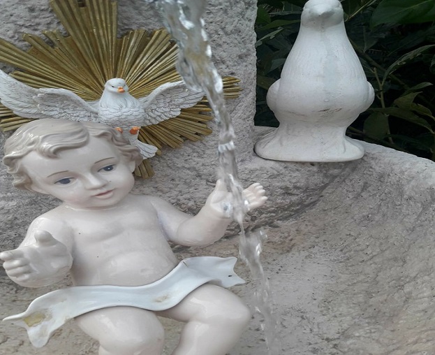 gusù bambino