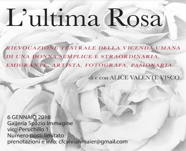 ultima rosa