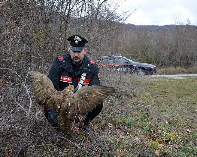 carabinieri salano poiana