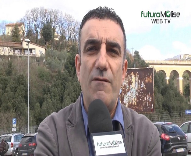 domenico angelone