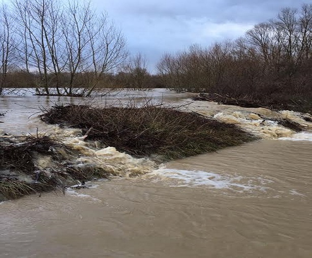 torrente Rio Bottone